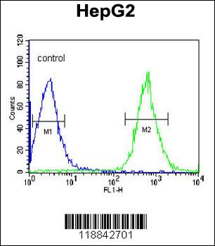 PFTK1 Antibody (N-term P82)