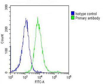 MAPE Antibody (C-term)