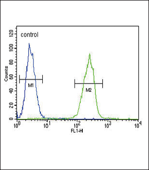 SERPINA7 Antibody (C-term)