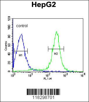 ITIH2 Antibody (C-term)