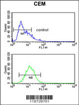 HPX Antibody (Center)