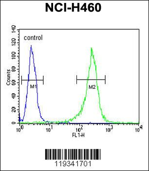 GNS Antibody (Center S298)