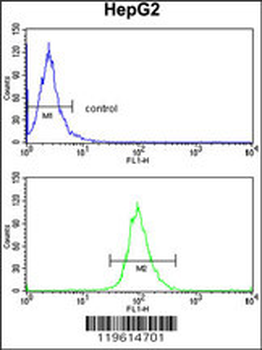 ELOVL6 Antibody (N-term)