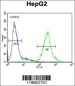 IL1RN Antibody (C-term)