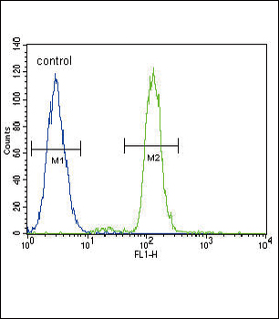 CD14 Antibody (C-term)