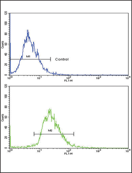 CD82 (ST6) Antibody (C-term)