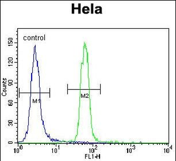 Presenilin 1 (PSEN1) Antibody (C-term)