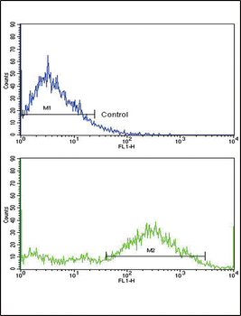 MVP Antibody (C-term)