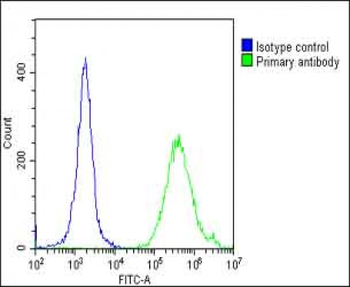 PPARG Antibody (N-term)