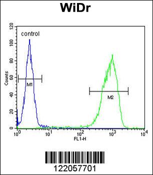 TANK Antibody (Center)