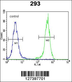 OTUD6B Antibody (C-term)