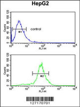 LDHD Antibody (N-term)