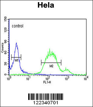 WNT5A Antibody (Center)