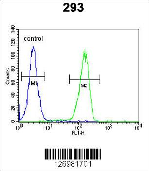KCT2 Antibody (Center)
