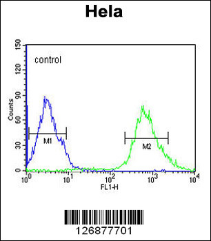 IPO9 Antibody (N-term)