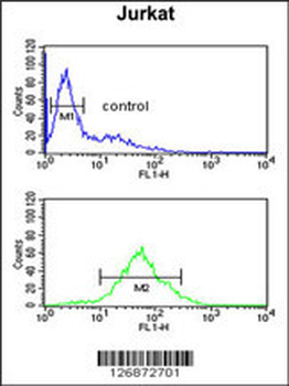 SHCBP1 Antibody (C-term)