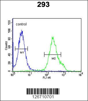 KCTD21 Antibody (C-term)