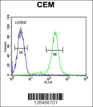 C102B Antibody (C-term)
