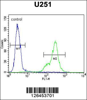 SCRN1 Antibody (N-term)
