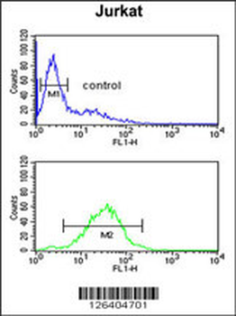 MFRN2 Antibody (N-term)