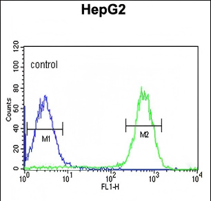 TESC Antibody (C-term)
