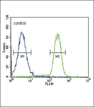 HSD17B2 Antibody (Center)