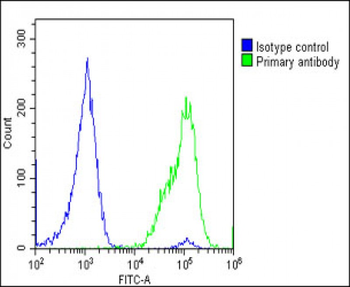 ADIPOR2 Antibody (Center)