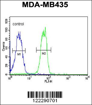 BTNL8 Antibody (Center)