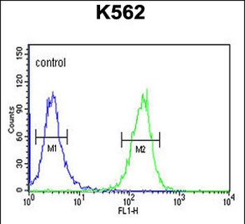 SE6L2 Antibody (C-term)