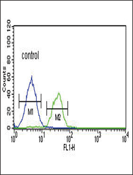 LRRN3 Antibody (N-term)