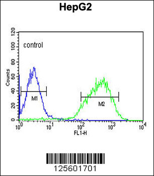 HIST1H2AL Antibody (C-term)