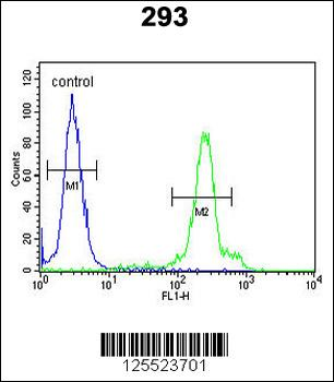 ERMIN Antibody (Center)