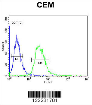 TSPAN7 Antibody (Center)