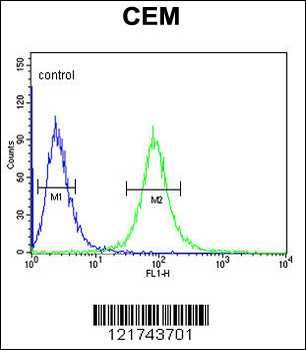 CD46 Antibody (C-term)