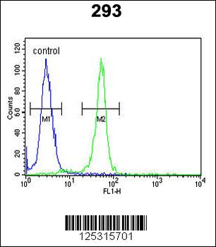 RRS1 Antibody (C-term)