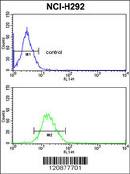 PDIA3 Antibody (C-term)