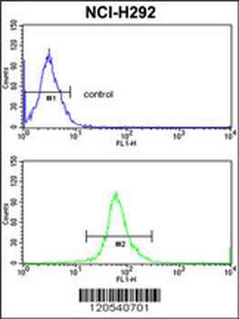 ERP29 Antibody (Center)