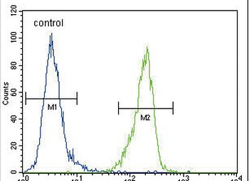 ENPP2 Antibody (Center K416)