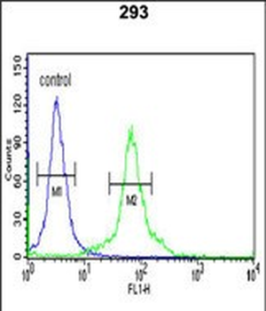 DLG7 Antibody (Center)