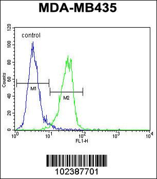MeCP2 Antibody (N-term)