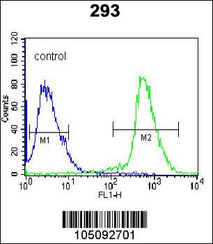 ARL2 Antibody (C-term)