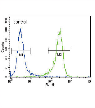 UCHL1 Antibody (N-term)