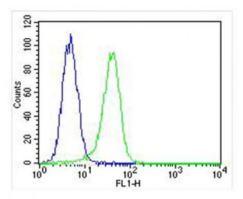 PROX-1-S514 Antibody