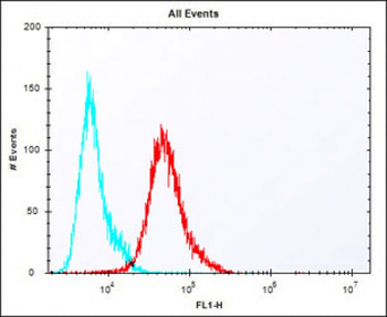 Mouse Pbk Antibody(N-term)