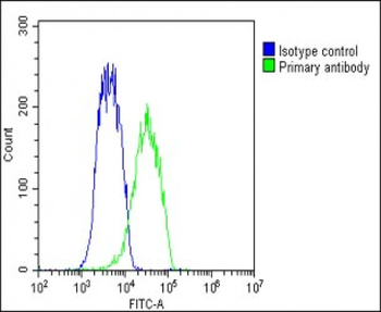 GDE1 Antibody (Center)
