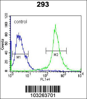 IL-17D Antibody (Center)