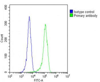 RAB28 Antibody (Center)