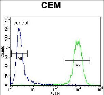 ATF3 Antibody (C-term)