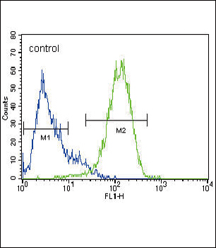 ABCG2 (BCRP) Antibody (Center)
