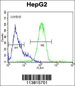 NANOG Antibody (N-term)